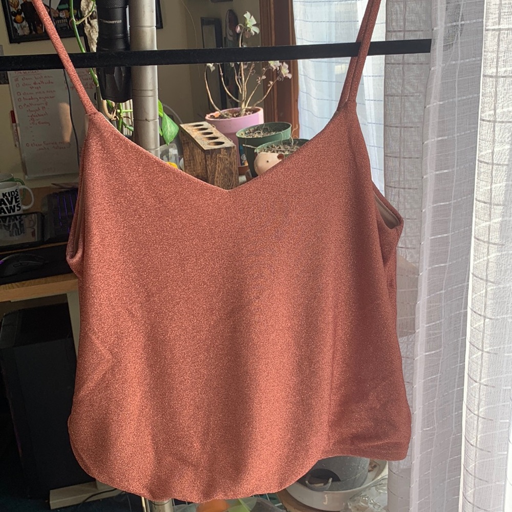 Express sparkle tank top